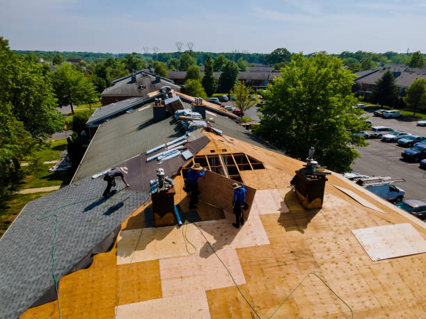 Quick and Trustworthy Emergency Roof Repair Services in Lakeland, MN