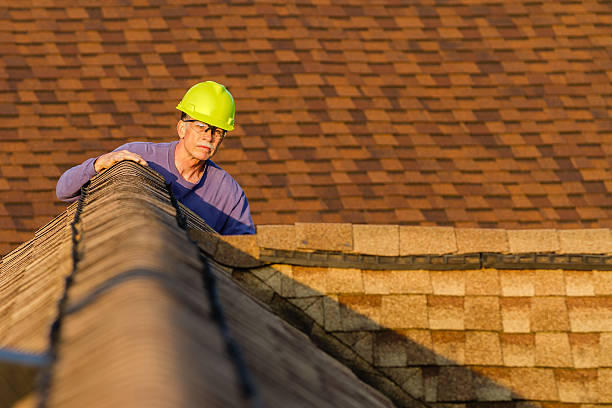 Roof Repair Estimates in Lakeland, MN